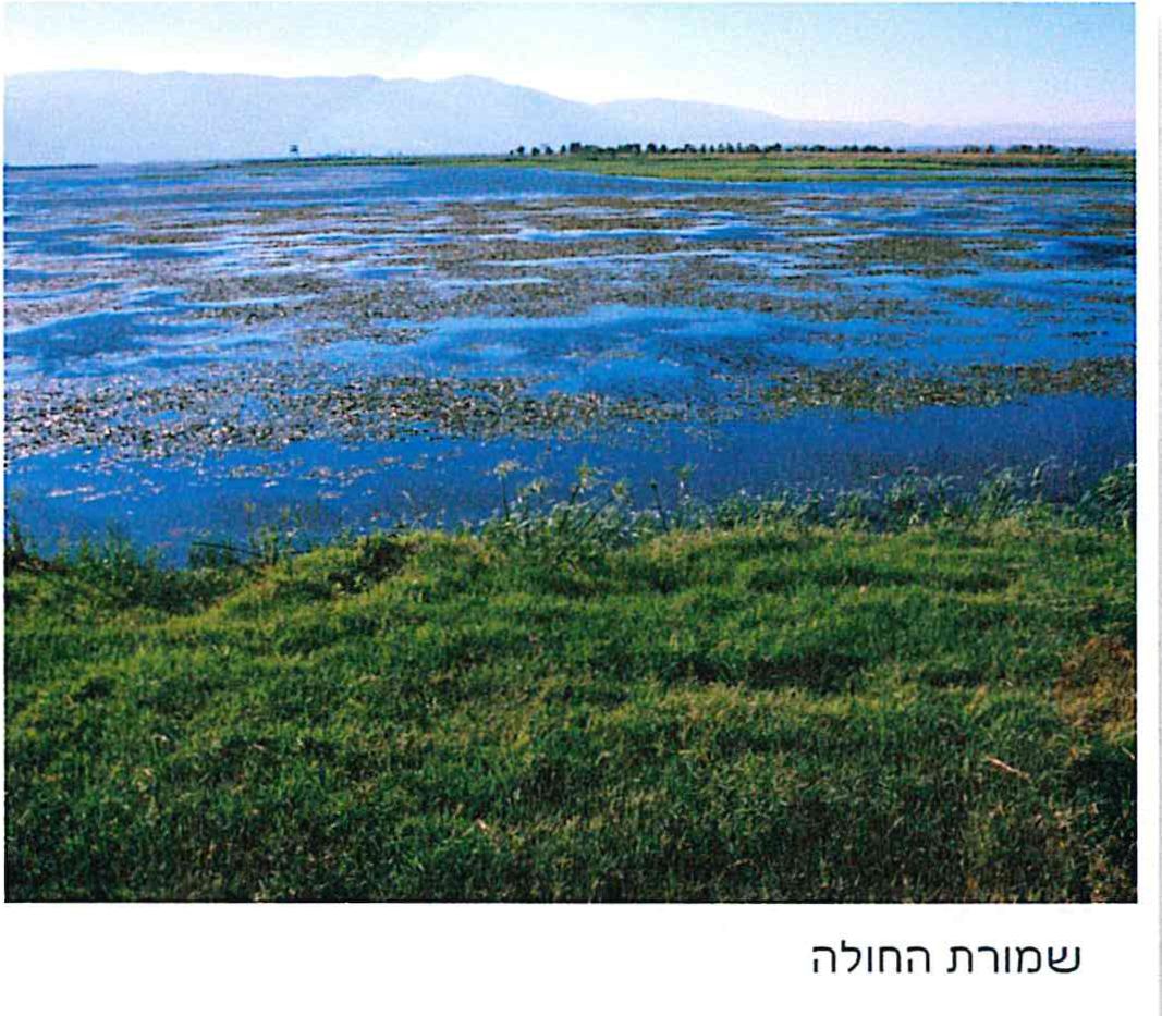 שמורת החולה